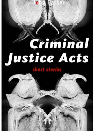 Criminal Justice Acts by John Barker